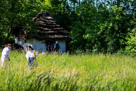 Dziewczyny zrywają kwiaty na łące